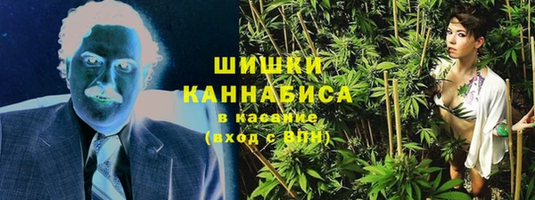 амф Елабуга