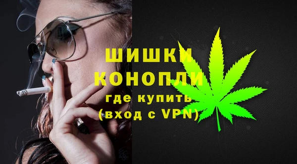 амф Елабуга