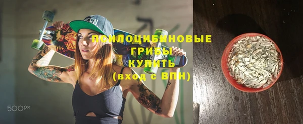амф Елабуга