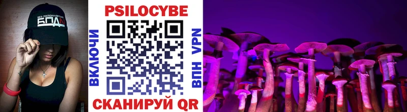 как найти закладки  Сасово  Галлюциногенные грибы Psilocybine cubensis 